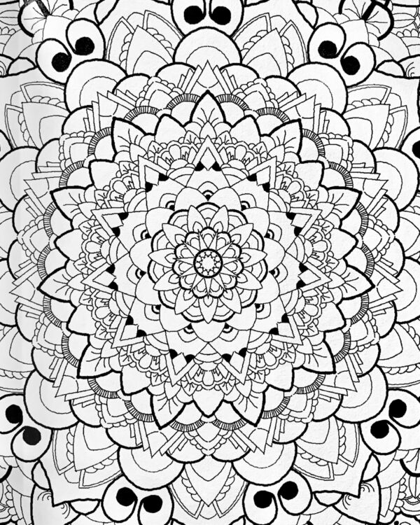 Break the Cycle: an adult coloring book of mandlas, filigree, and geometric patterns - Image 3